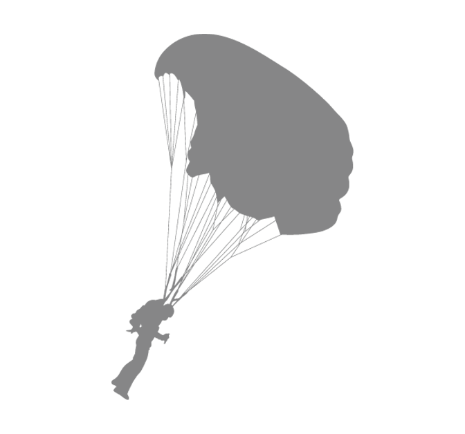 bg3